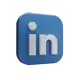 LinkedIn social icon